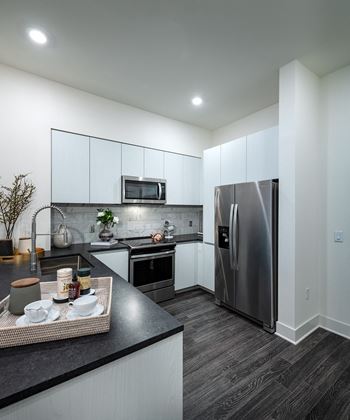 Gourmet chef’s kitchens with stainless steel appliances frameless custom soft - close cabinetry